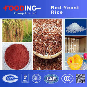 High Quality Pharmaceutical Grade Red Yeast Rice Liquid Manufacturer